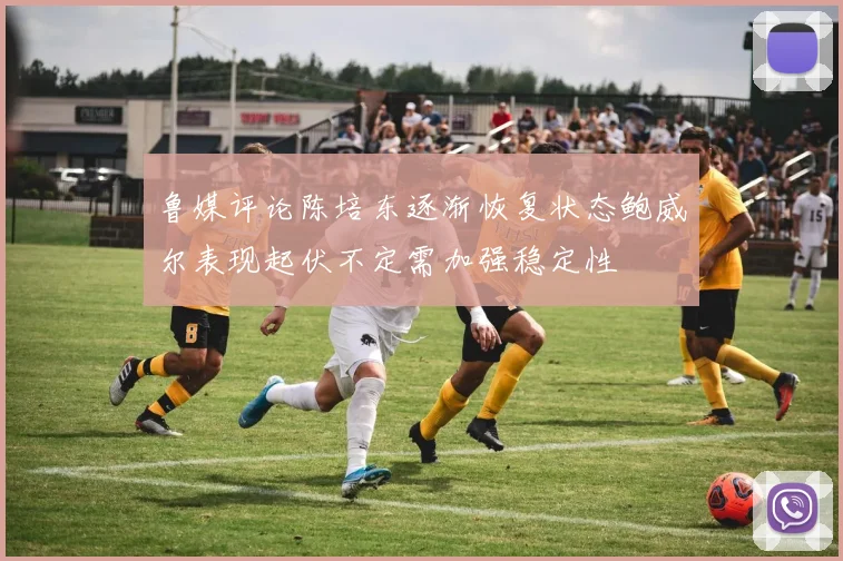 鲁媒评论陈培东逐渐恢复状态鲍威尔表现起伏不定需加强稳定性
